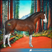 Horse Color:Brown Splash Rabicano