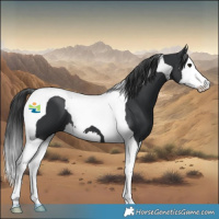 Horse Color:Black Splash Tobiano 