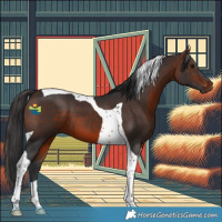 Horse Color:Brown Tobiano 