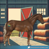 Horse Color:Chocolate Palomino Rabicano 