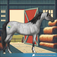 Horse Color:Blue Roan 