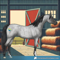 Horse Color:Blue Roan 