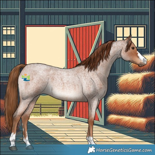 Horse Color:Red Roan 