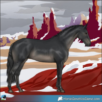 Horse Color:Black Rabicano 