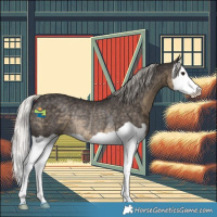Horse Color:Silver Smoky Black Splash Rabicano