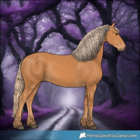 Horse Color:Chestnut Rabicano 