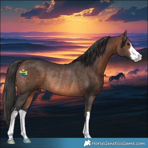 Horse Color:White Spotted Brown Rabicano 