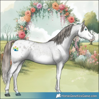 Horse Color:White Spotted Blue Roan Splash Appaloosa