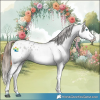 Horse Color:White Spotted Blue Roan Splash Varnish 