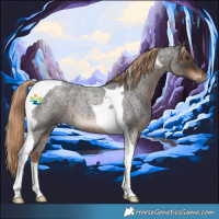 Horse Color:Liver Red Roan Tobiano