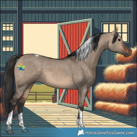 Horse Color:Brown Dun Tobiano 
