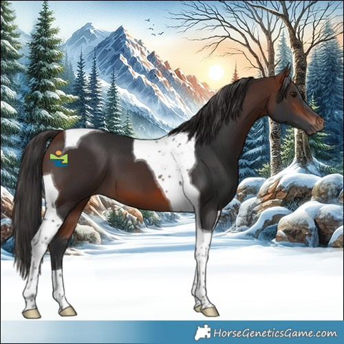 Horse Color:Bay Mushroom Tobiano 