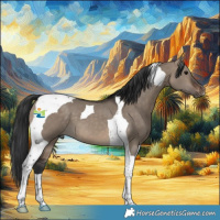 Horse Color:Brown Dun Tobiano 