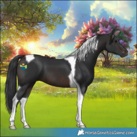 Horse Color:Brown Tobiano 