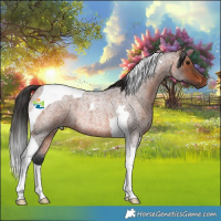 Horse Color:Brown Roan Tobiano 