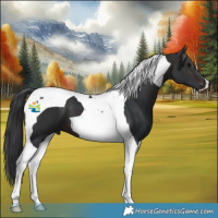 Horse Color:Brown Tobiano 