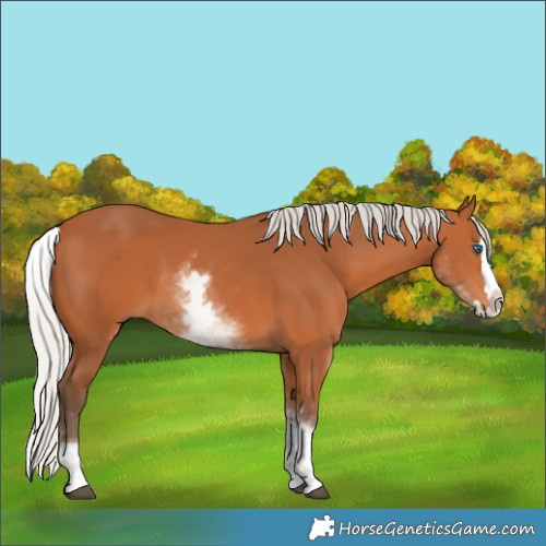 Horse Color:White Spotted Silver Bay Splash 