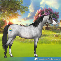 Horse Color:Brown Roan Sabino