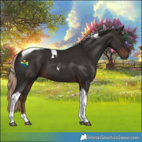 Horse Color:Liver Chestnut Tobiano 