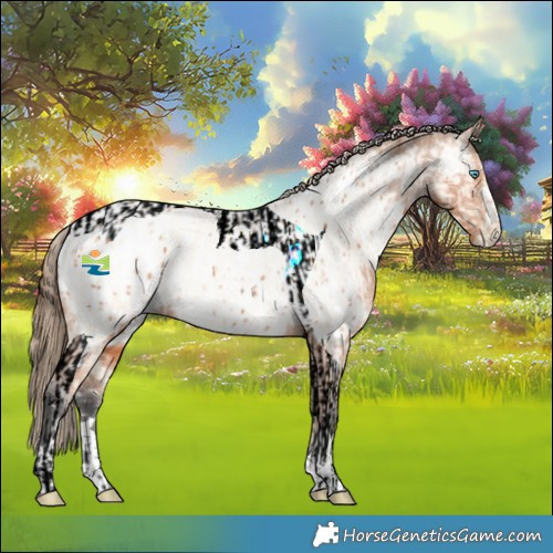 Horse Color:Buckskin Roan Pearl Tobiano  and Painted Bay Appaloosa 