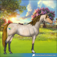 Horse Color:Painted Buckskin Roan 