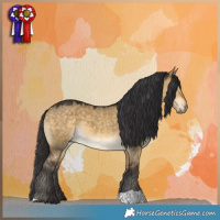 Horse Color:Buckskin Dun 