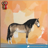 Horse Color:Gray Brown Dun