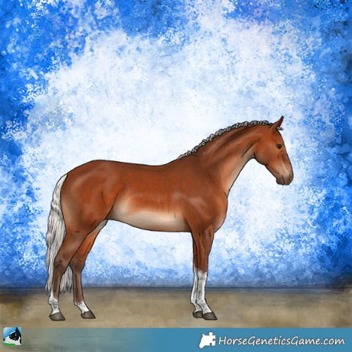 Horse Color:Silver Brown Tobiano Rabicano 