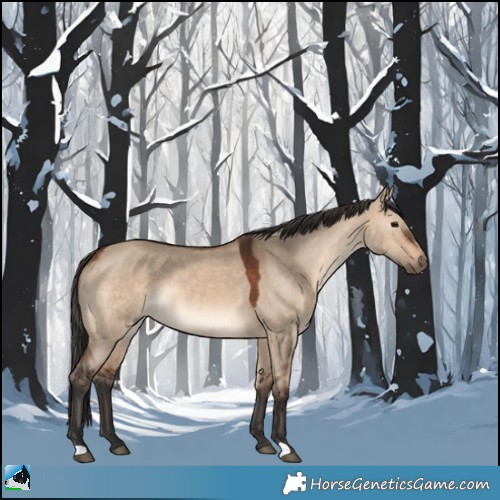 Horse Color:Brown Dun