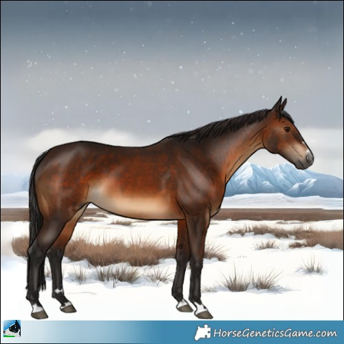 Horse Color:Gray Bay