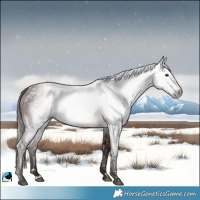 Horse Color:Gray Bay 