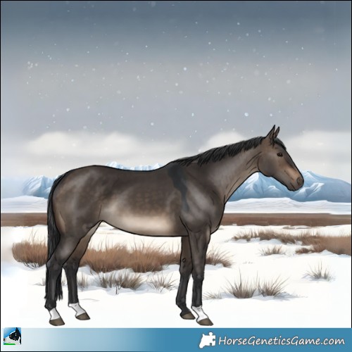 Horse Color:Brown Dun