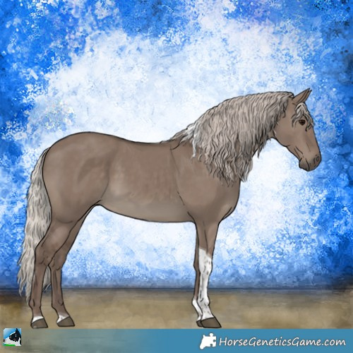Horse Color:Silver Grullo Tobiano Rabicano 