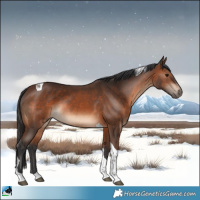 Horse Color:Brown Tobiano Rabicano
