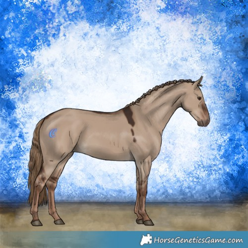 Horse Color:Liver Red Dun