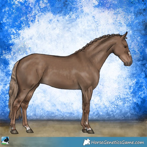 Horse Color:Liver Red Dun