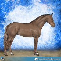 Horse Color:Liver Red Dun 