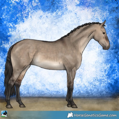 Horse Color:Brown Dun Rabicano 