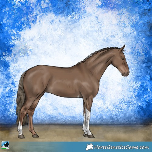 Horse Color:Liver Red Dun Tobiano