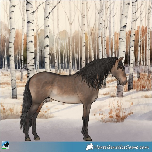 Horse Color:Brown Dun Rabicano