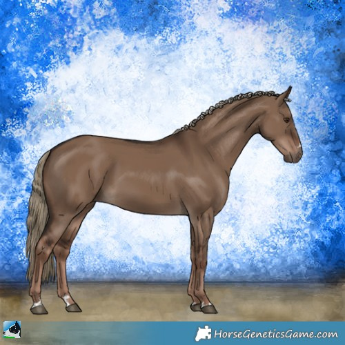 Horse Color:Liver Red Dun 