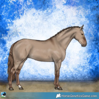 Horse Color:Liver Red Dun 