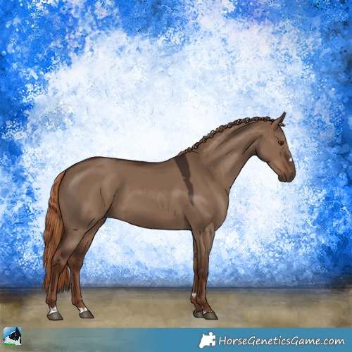 Horse Color:Liver Red Dun 