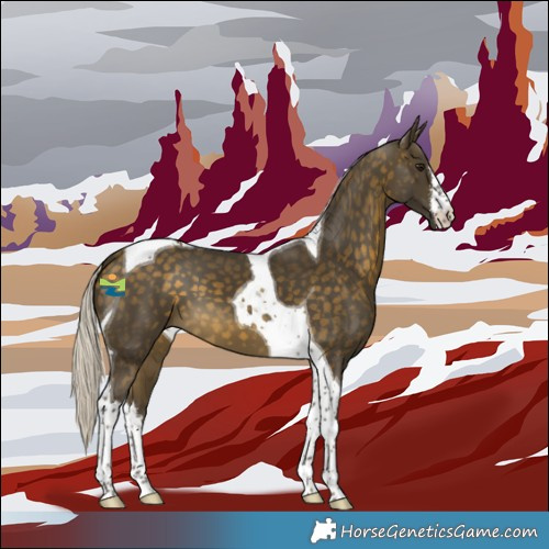 Horse Color:White Spotted Silver Buckskin Tobiano 