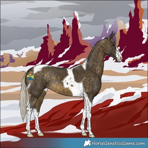 Horse Color:White Spotted Silver Buckskin Tobiano 