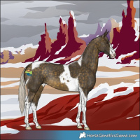 Horse Color:White Spotted Silver Buckskin Tobiano