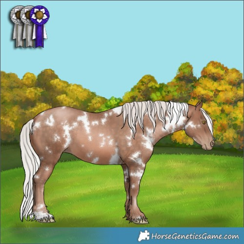 Horse Color:White Spotted Silver Brown Pearl Mushroom 