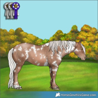 Horse Color:White Spotted Silver Brown Pearl Mushroom 