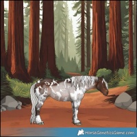 Horse Color:White Spotted Silver Brown Mushroom 