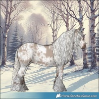 Horse Color:White Spotted Liver Red Dun Ice Mushroom 